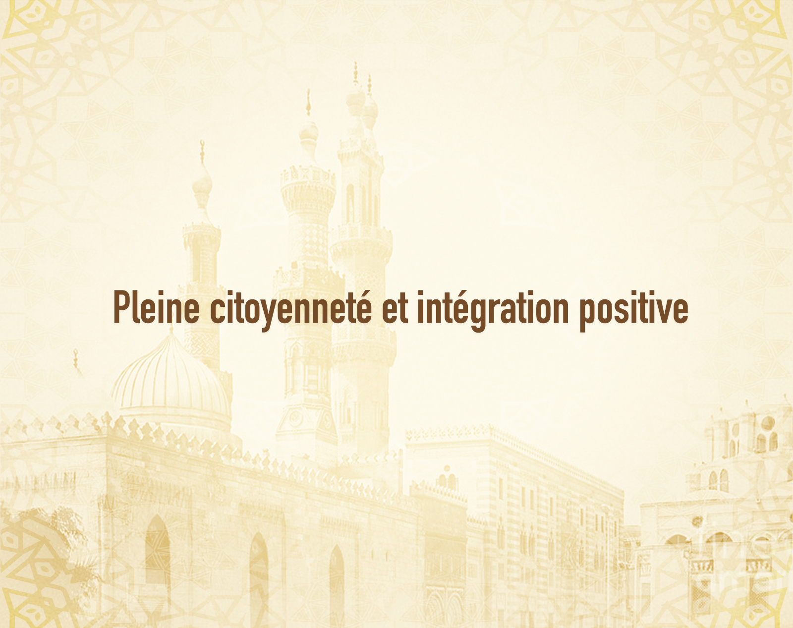     Pleine citoyenneté et intégration positive_.jpg