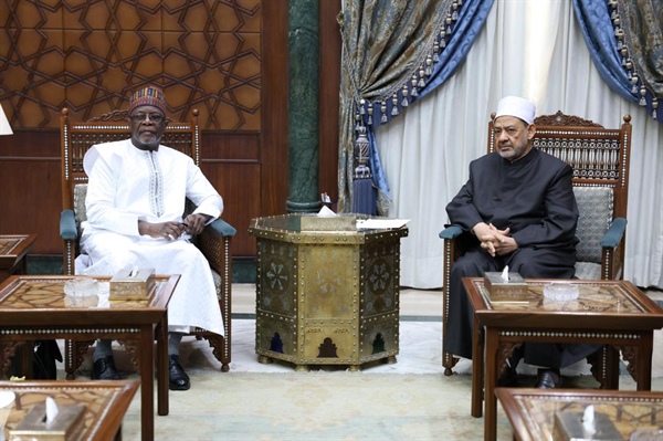 شيخ الأزهر يستقبل وزير خارجية النَّيجر ويناقشان سُبُل تعزيز الدعم الأزهري لأبناء النيجر .jpg