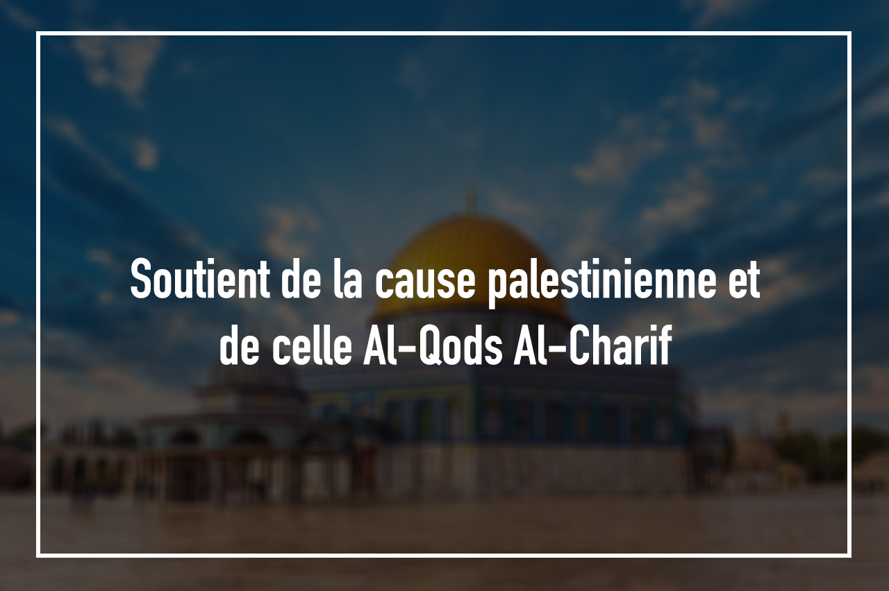 قضايا فلسطين فرنش.png